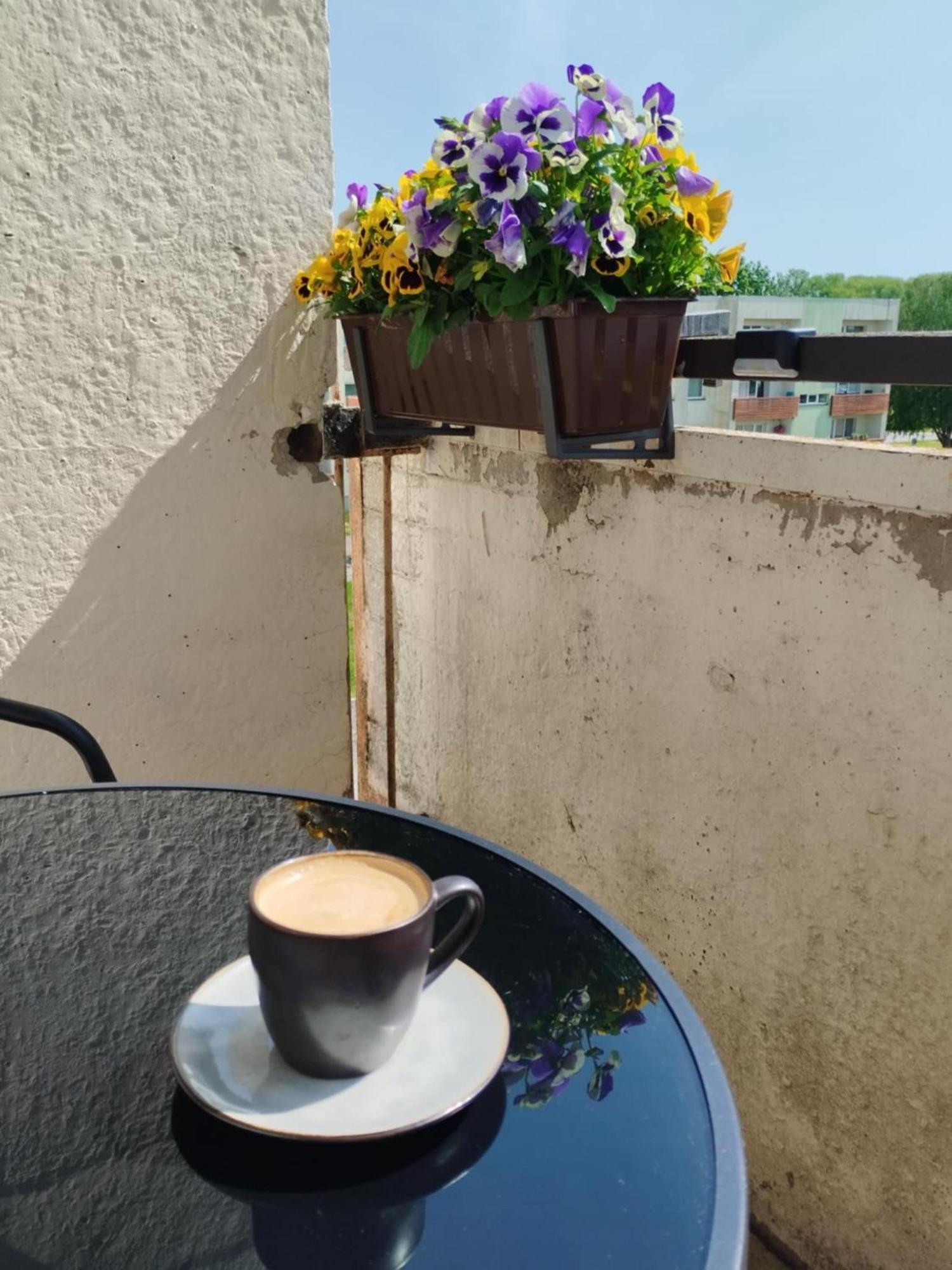 Kitse 26 Apartment- Free Parking Appartement
